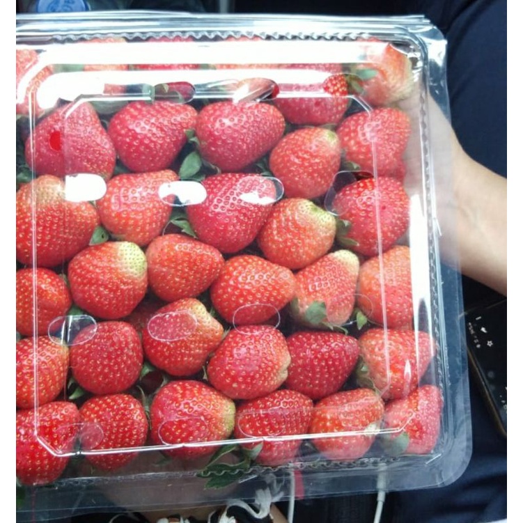 

strawberry 1kg