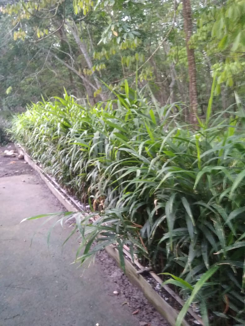 Batik Couple Ramashinta Katun Halus Original Asli Karyaku