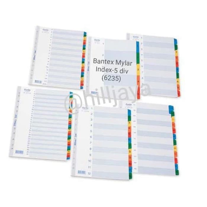 

BANTEX MYLAR INDEX-5 DIV (6235)