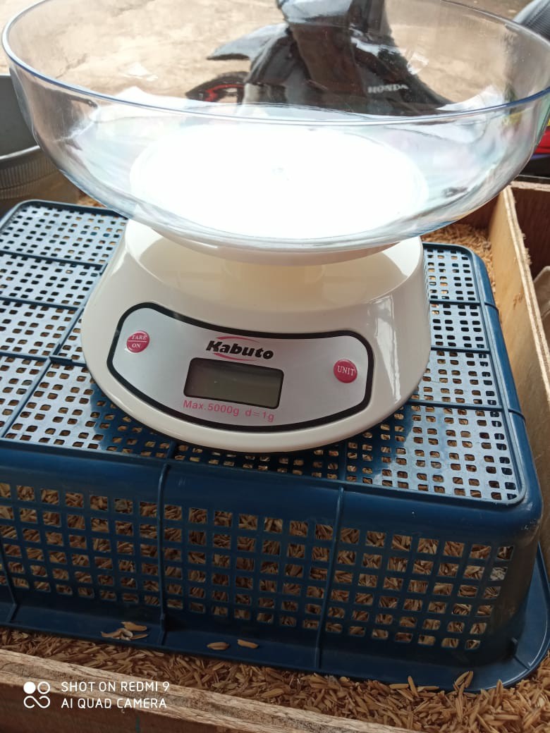 Timbangan Digital Dapur Kitchen Kue Coffee 5kg Best Quality Ek6001