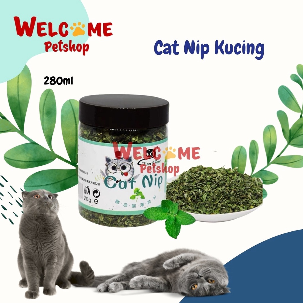 Tiger and Rose Catnip Kucing / Cat Nip Kucing / Rumput Kucing