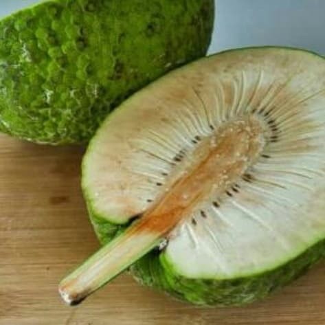 

Buah Sukun [1pcs]