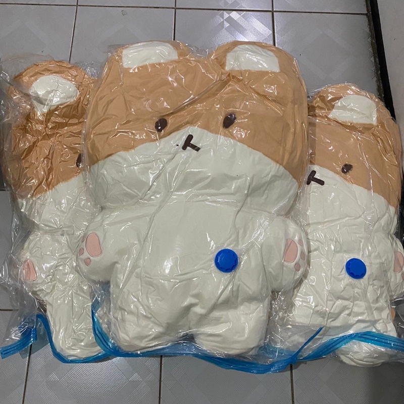 [PELUNASAN] teolaegi 80cm