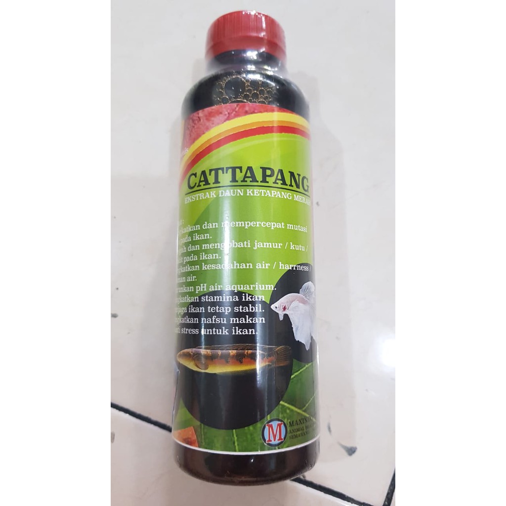 CATTAPANG 250ML (Ekstrak daun ketapang merah)