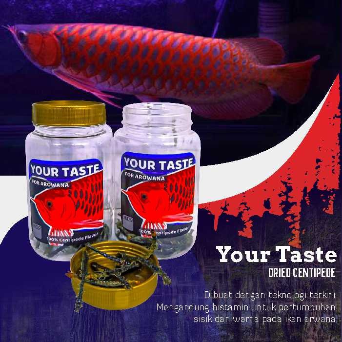 Pelet Pakan Makanan Ikan Arwana Your Taste Kelabang Kering