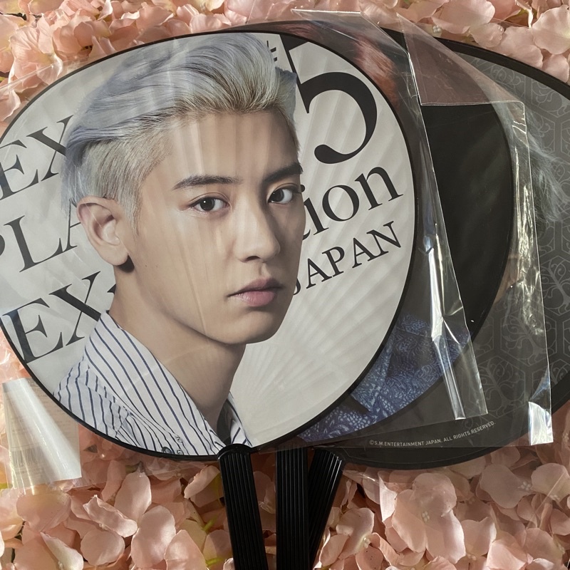 EXO CHANYEOL UCHIWA ( EXPLORATION / ELYXION / EXORDIUM )