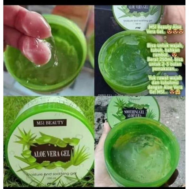 Aloevera Gel Msi Aloevera Shooting Gel 250 Ml Bisa Cod Shopee Indonesia