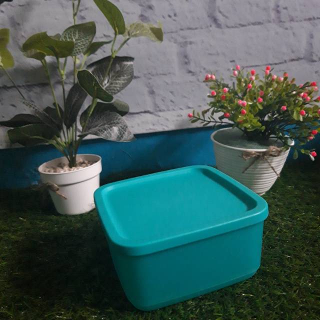 small summer tupperware ecer