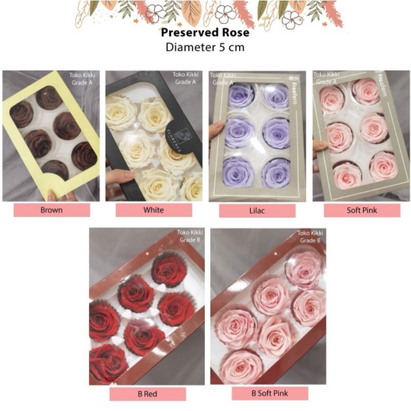 Rose Preserved 6 cm