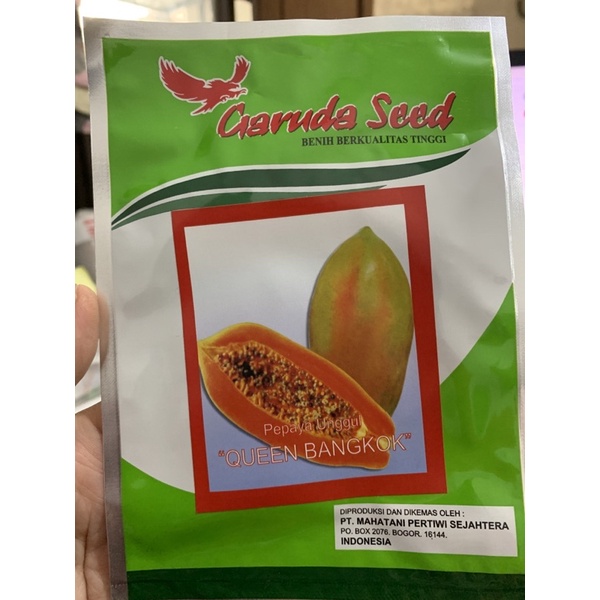 Benih Pepaya Bangkok Queen bangkok