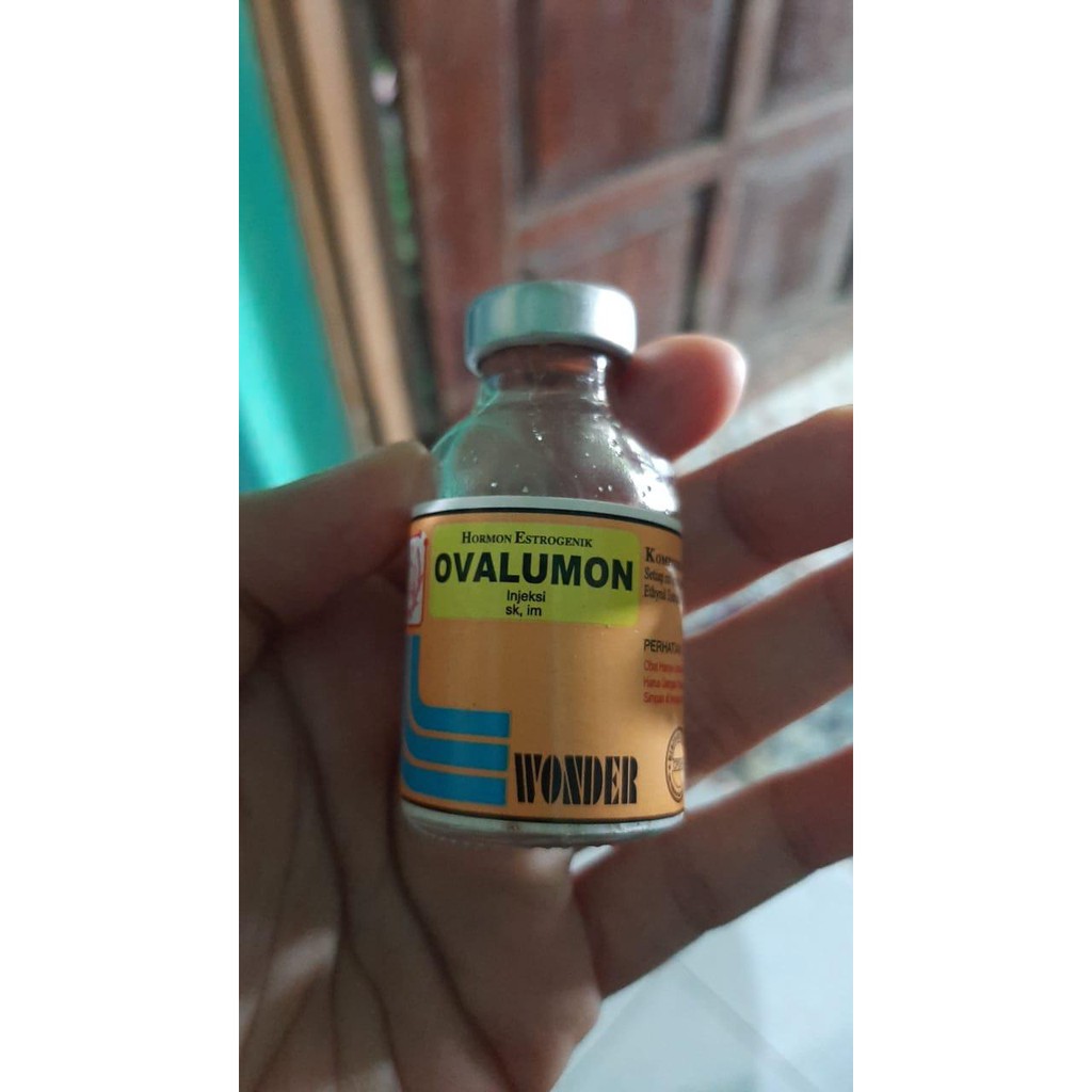 Ovalumon Obat Perangsang Birahi Hewan