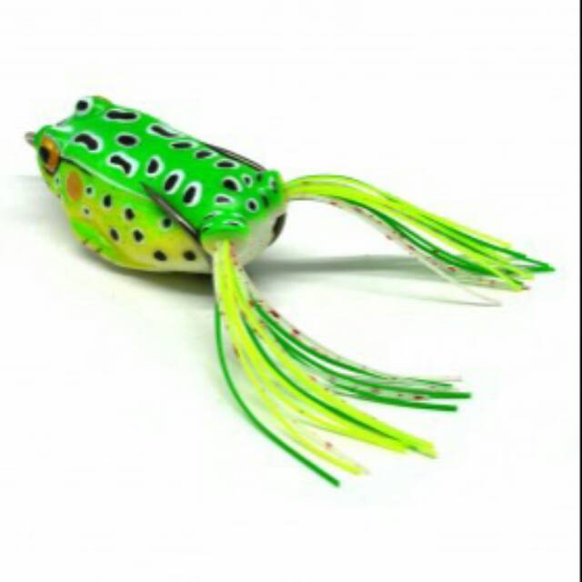 Umpan pancing kodok