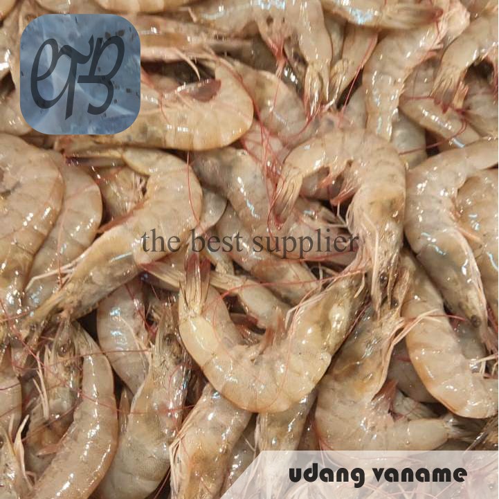 

Udang Vaname / Panami Segar