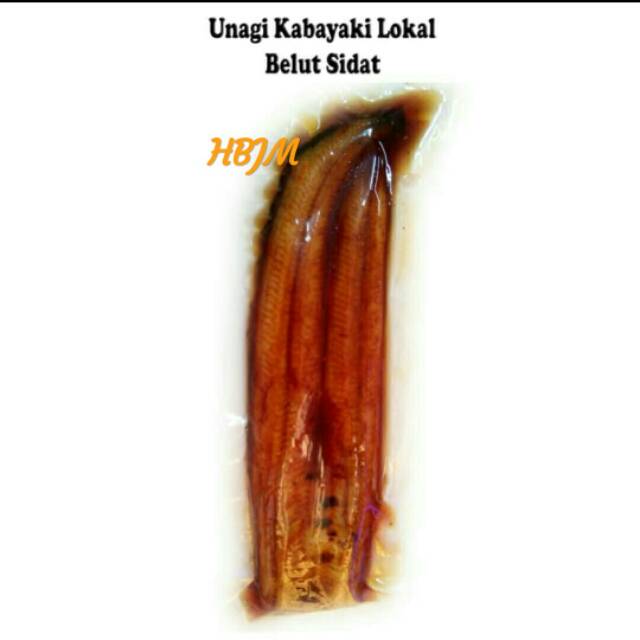 

UNAGI KABAYAKI XS 150 GR (140-160 GR) LOKAL / IKAN SIDAT