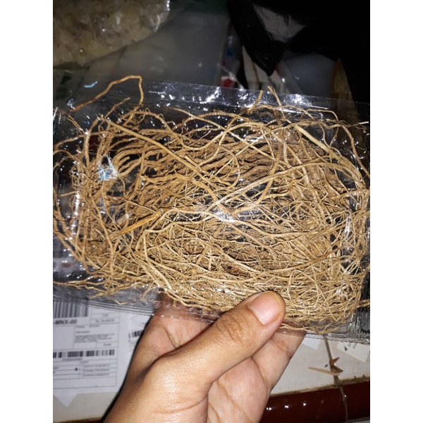 

akar wangi kering