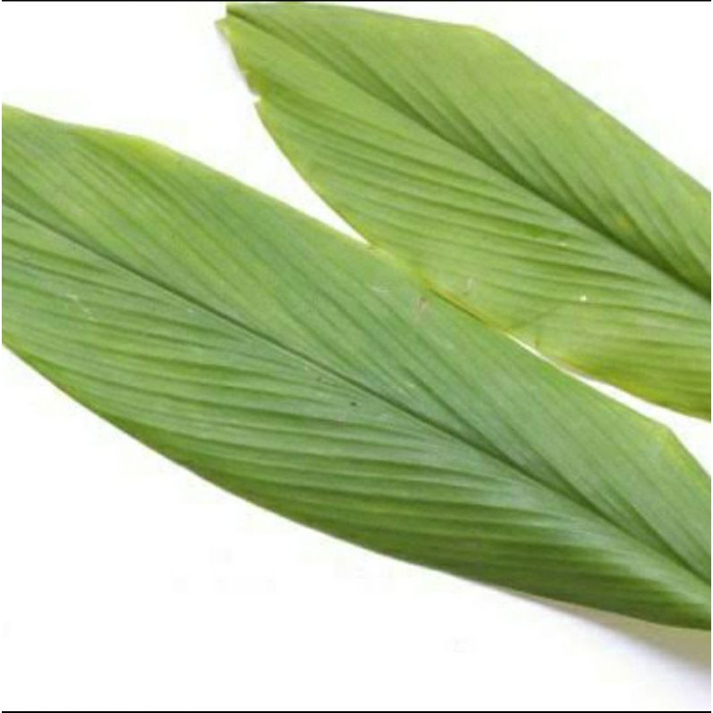 

Daun Kunyit (50gr)