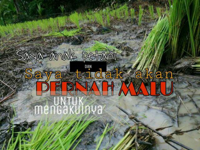 Pot Tray / Tray Semai Tipe 105 Lubang
