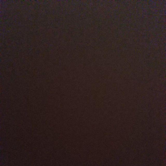 Kemoceng/ Sulak Bulu Ayam Rrt