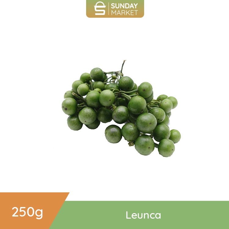 

Leunca / Lenca [250gr] | Fresh Setiap Hari .