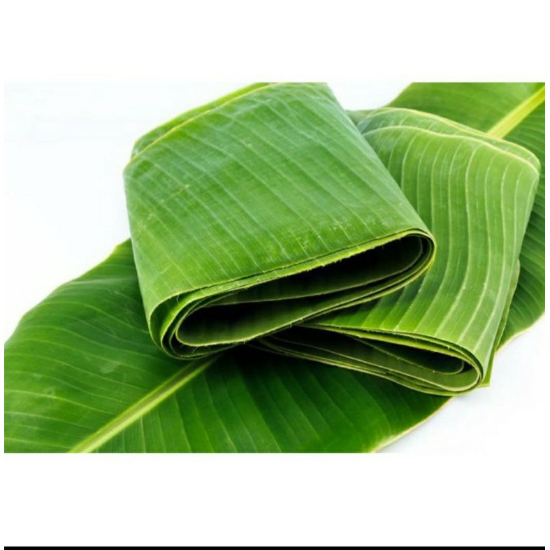 

DAUN PISANG,DAUN ASLI PETIK DAUN PISANG BATU DAUN PISANG RUMAHAN