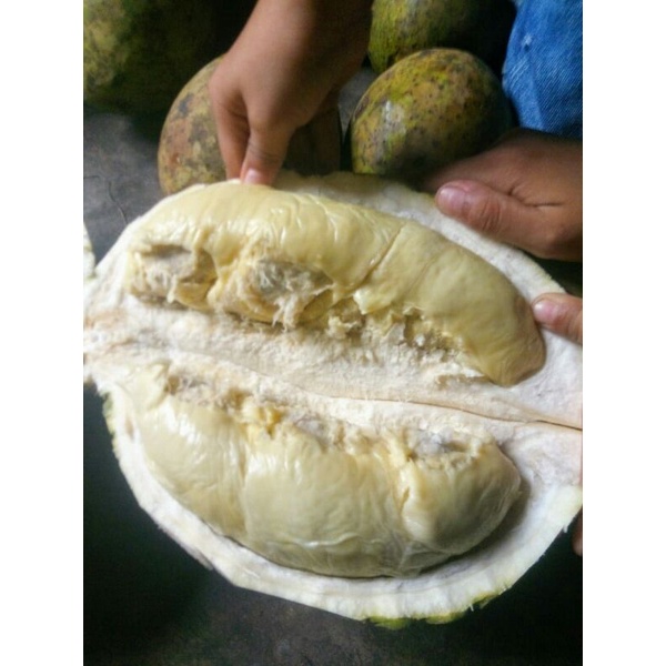 

paket resseler
