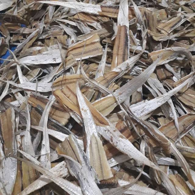 

Ikan asin kerupuk /pehu (250 gr)