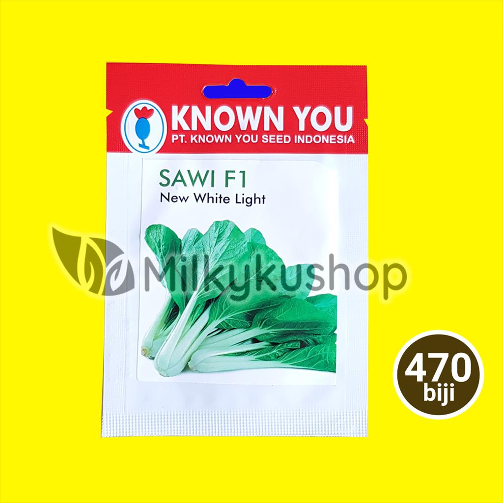 BENIH KYS KNOWN YOU SEED SAWI F1 NEW WHITE LIGHT 470 BIJI KP