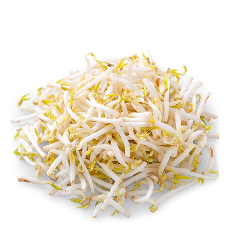 

Tauge / Toge 250 Gram