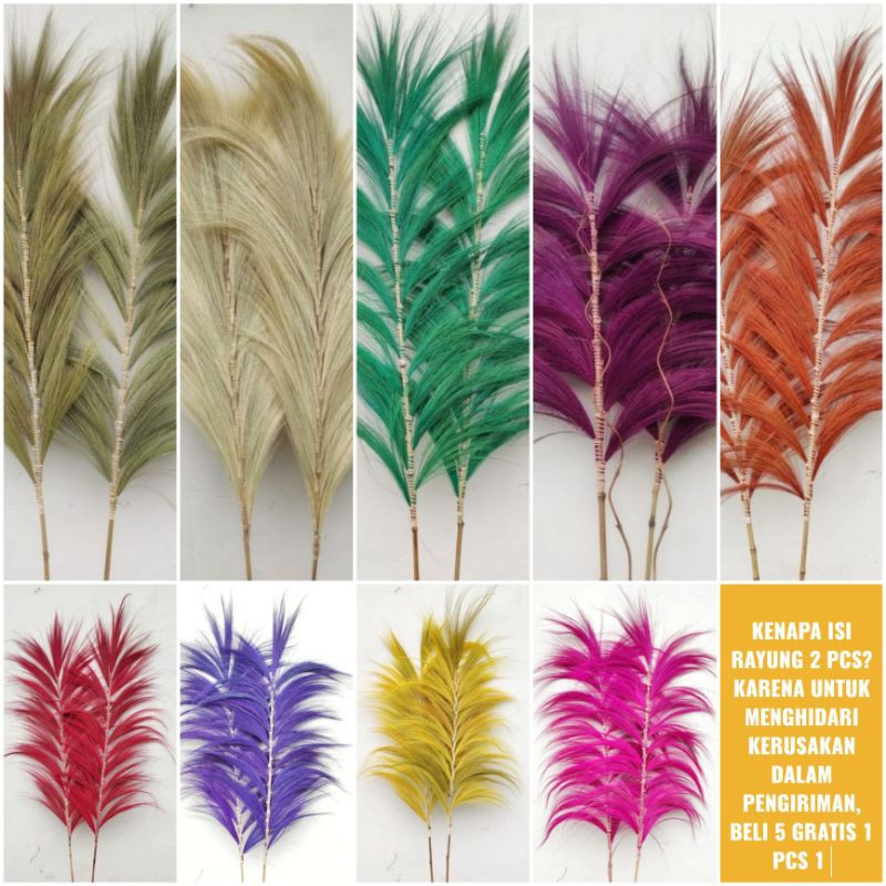 Rayung kering dekorasi daun rayung pampas rayung stik Rayung kering dekorasi daun rayung pampas rayung stik