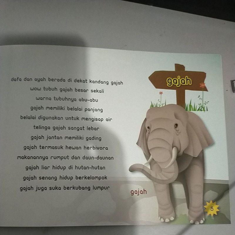 ORI buku TK paud aku tahu hewan liar penerbit mediantara