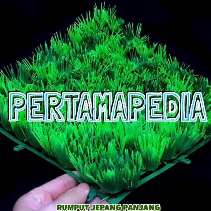 [Ready] Rumput Artificial/ Rumput Aquarium/ Rumput Hias Sintetis Gajah [Artifical]