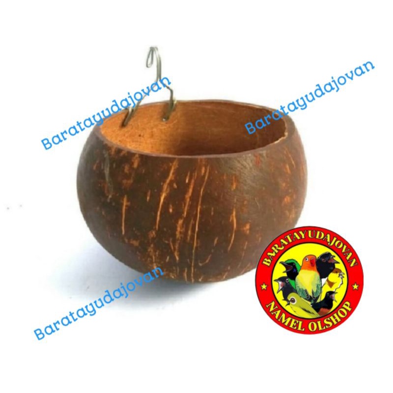 TEMPAT MAKAN MINUM BATOK KELAPA
