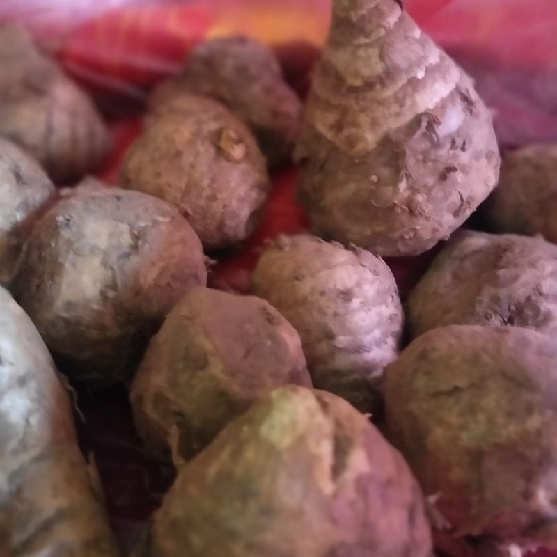 

temu lawak super 1Kg/ trmu lawak herbal