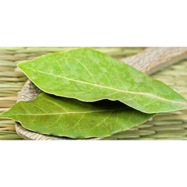 

Daun salam kering simplisia