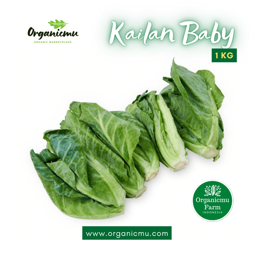 

Organicmu - Kailan Baby 1 kg