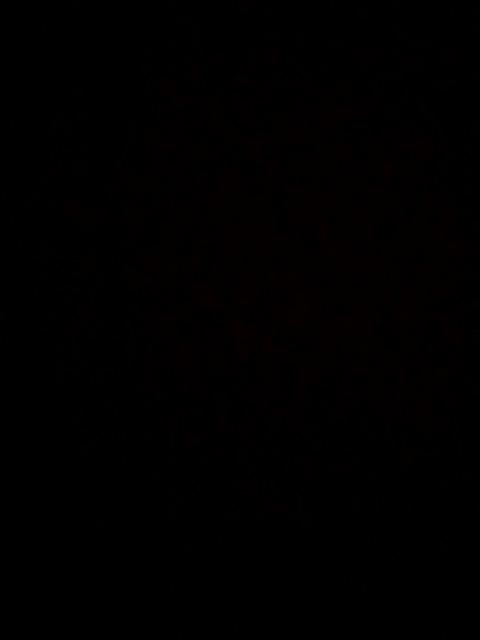 Mesin Hot Gun Heat Gun Mesin Blower Pemanas Fisch