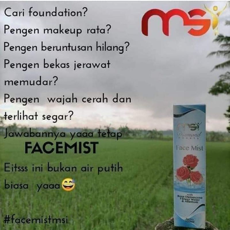 Face mist msi