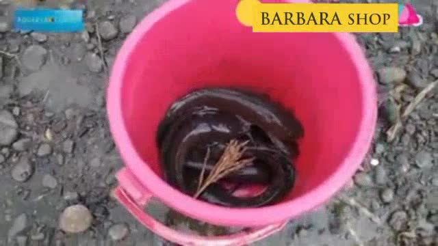 Perangkap ikan Jaring Jala Bubu Payung Bulat Lipat ikan