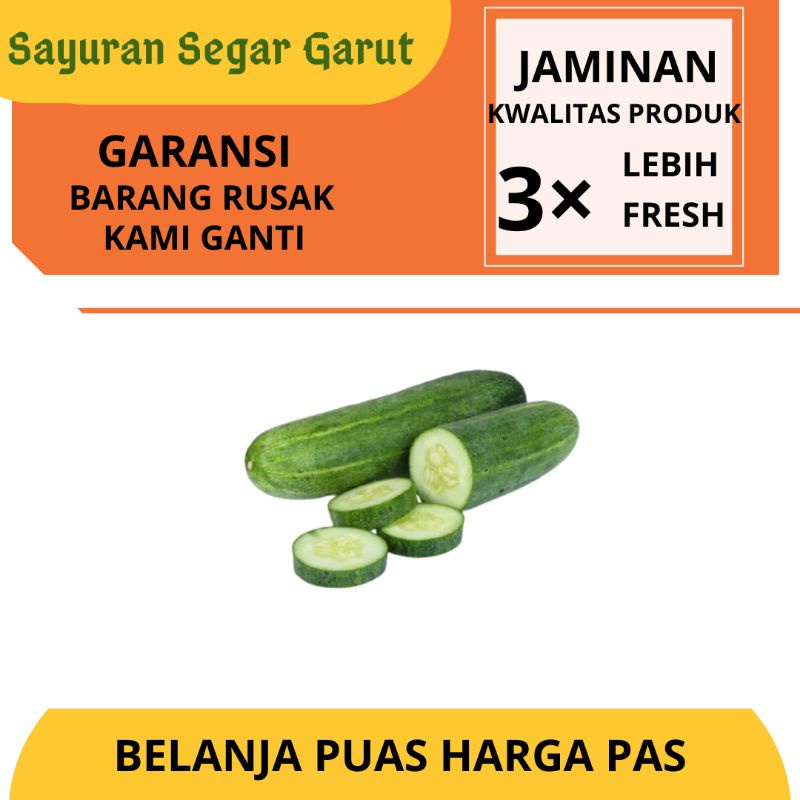 

Timun/Ketimun/Bonteng 500gr by Sayuran Segar Garut