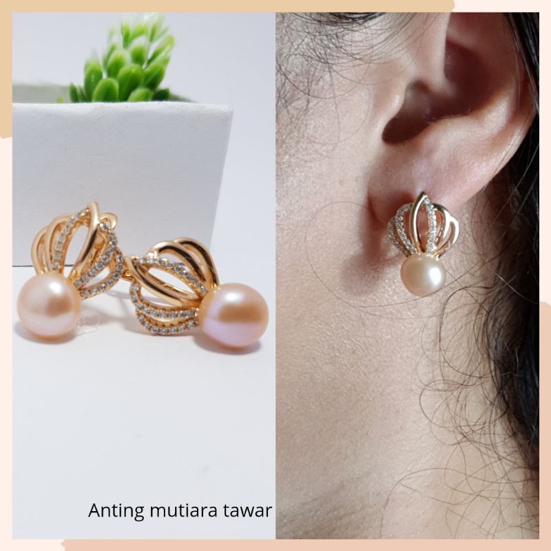 Giwang mutiara tawar asli lombok.