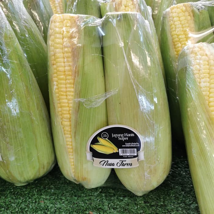 

Jagung