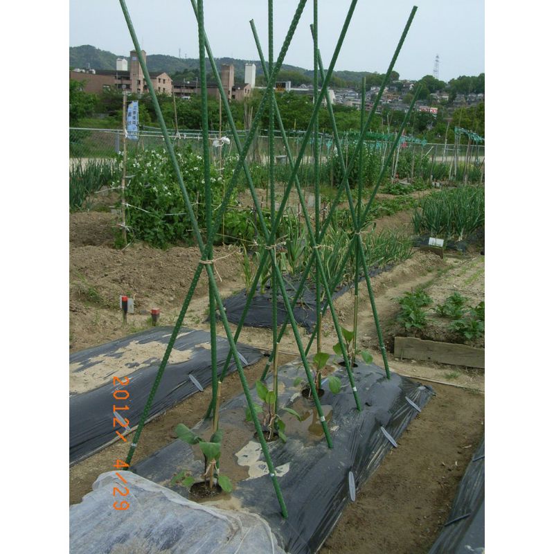 ajir 1,2m 1200mm