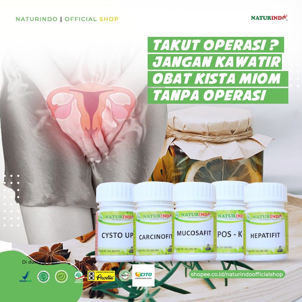 

Obat Herbal Kista Miom Obat Kista Obat Miom Ampuh Tanpa Operasi Hebal Kista Herbal Miom