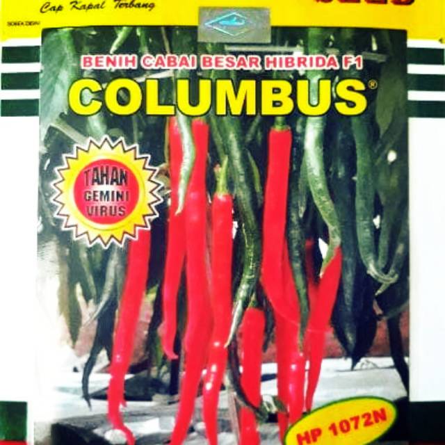 Benih Bibit Cabe Cabai Besar Hibrida F1 COLUMBUS(10grm)