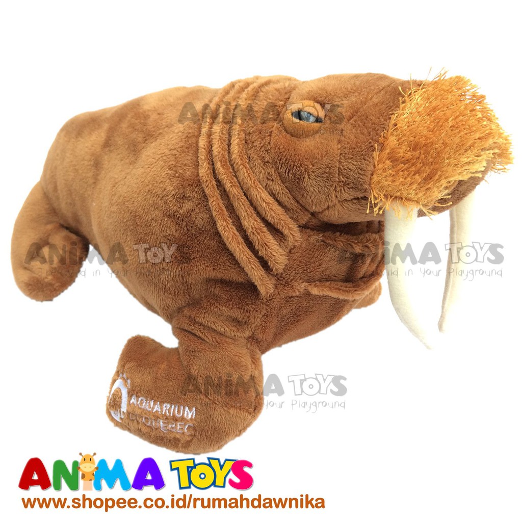 Boneka Hewan Beruang Laut Walrus Animatoys Sar047l Shopee Indonesia