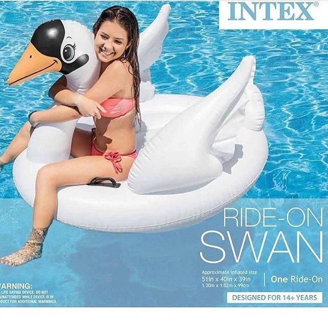 Intex Float Swan
