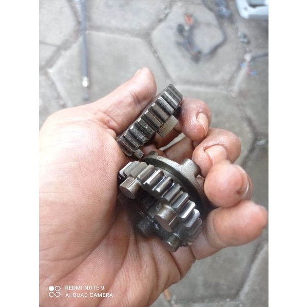 gigi rasio tiger no5