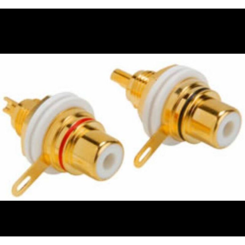 socket rca bodi gold