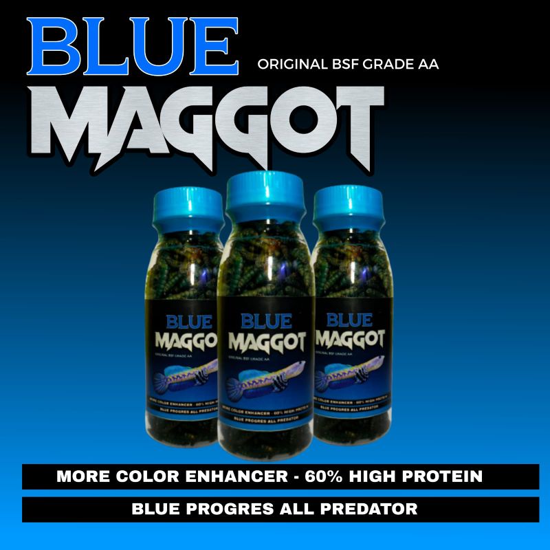 Blue Maggot Pakan Channa Kemasan Botol 100 ml