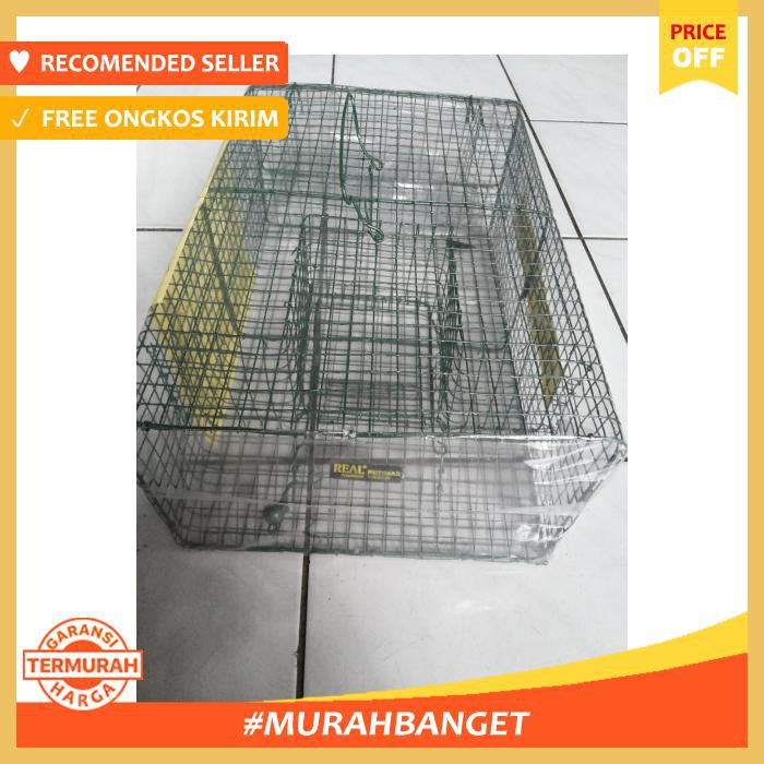 Perangkap Tikus Massal